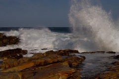 WILDSIDE-WAVE-SPLASHING
